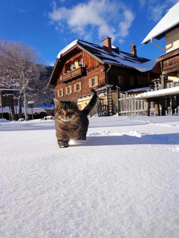 Vila Gut Neusess Mauterndorf  Exteriér fotografie
